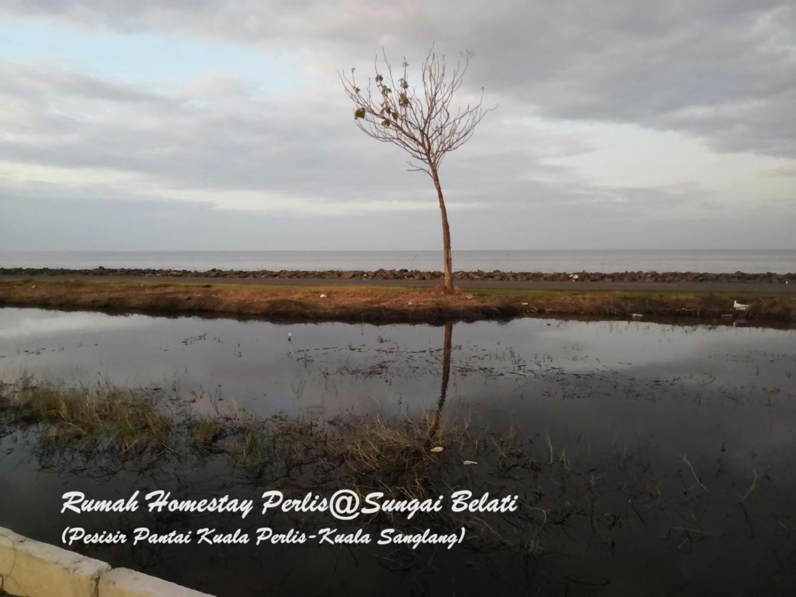 Rhumah Sungai Belati Vila Simpang Empat  Exterior foto