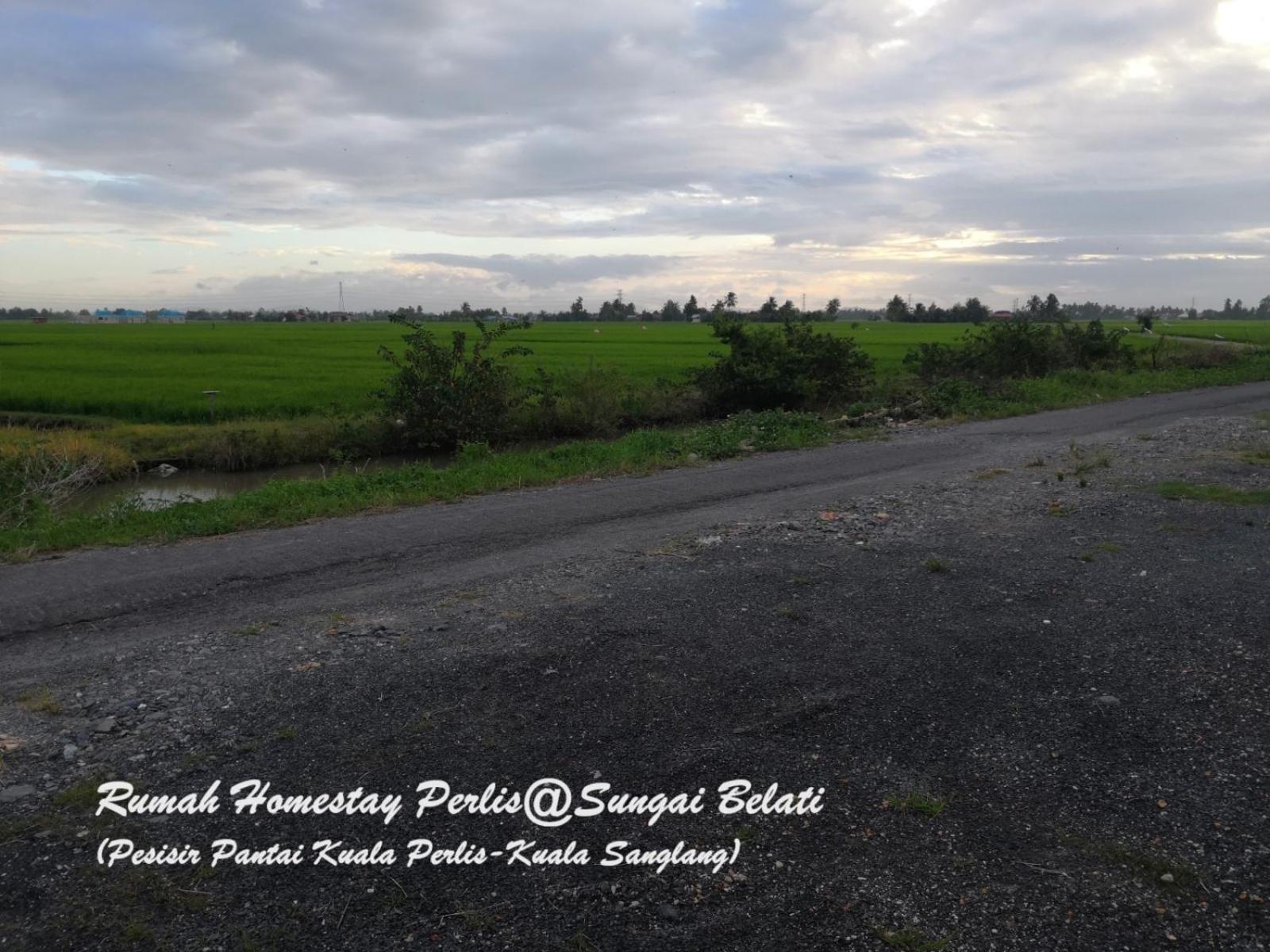 Rhumah Sungai Belati Vila Simpang Empat  Exterior foto